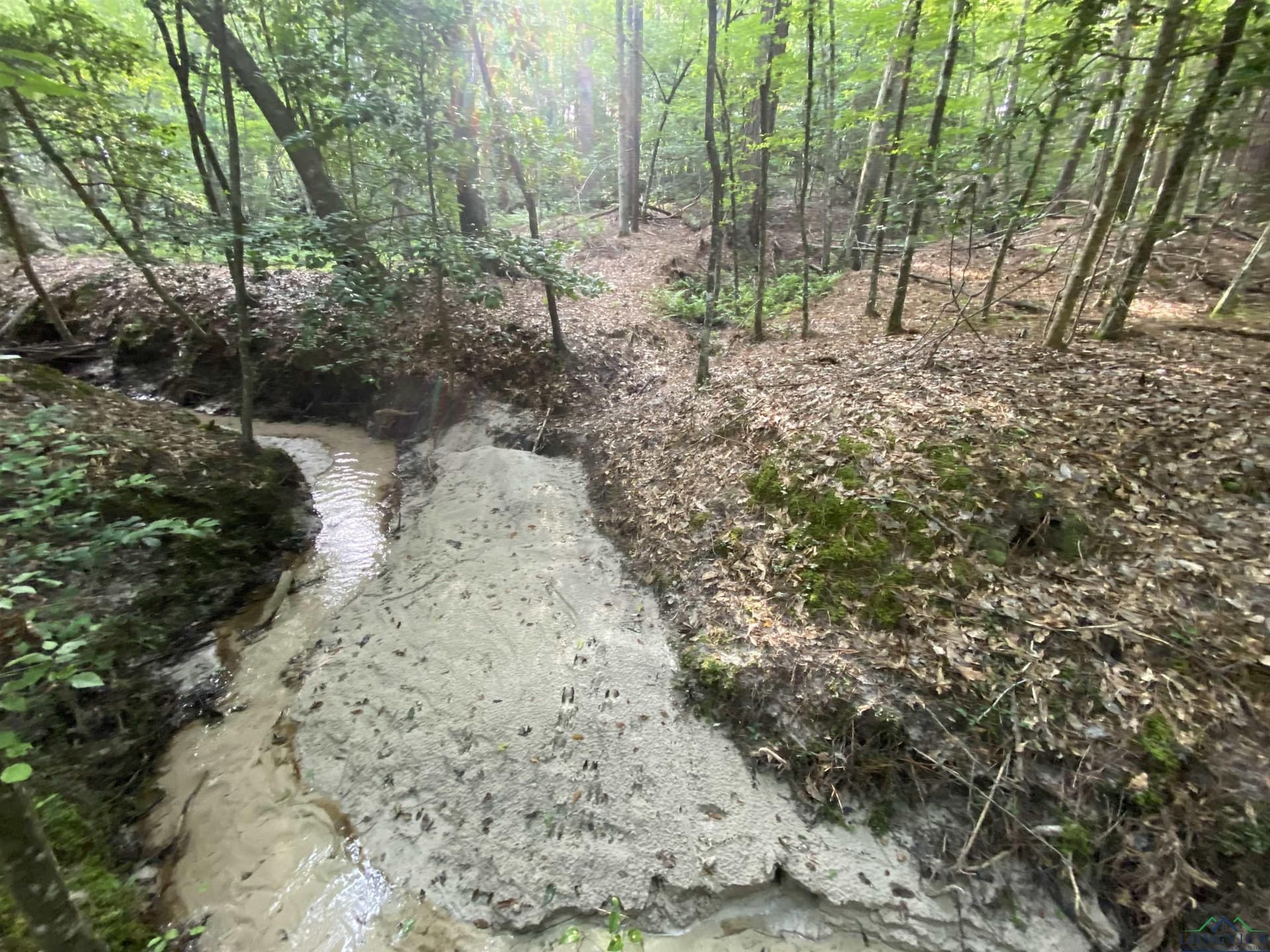 80 acres in Marion County - photo 3