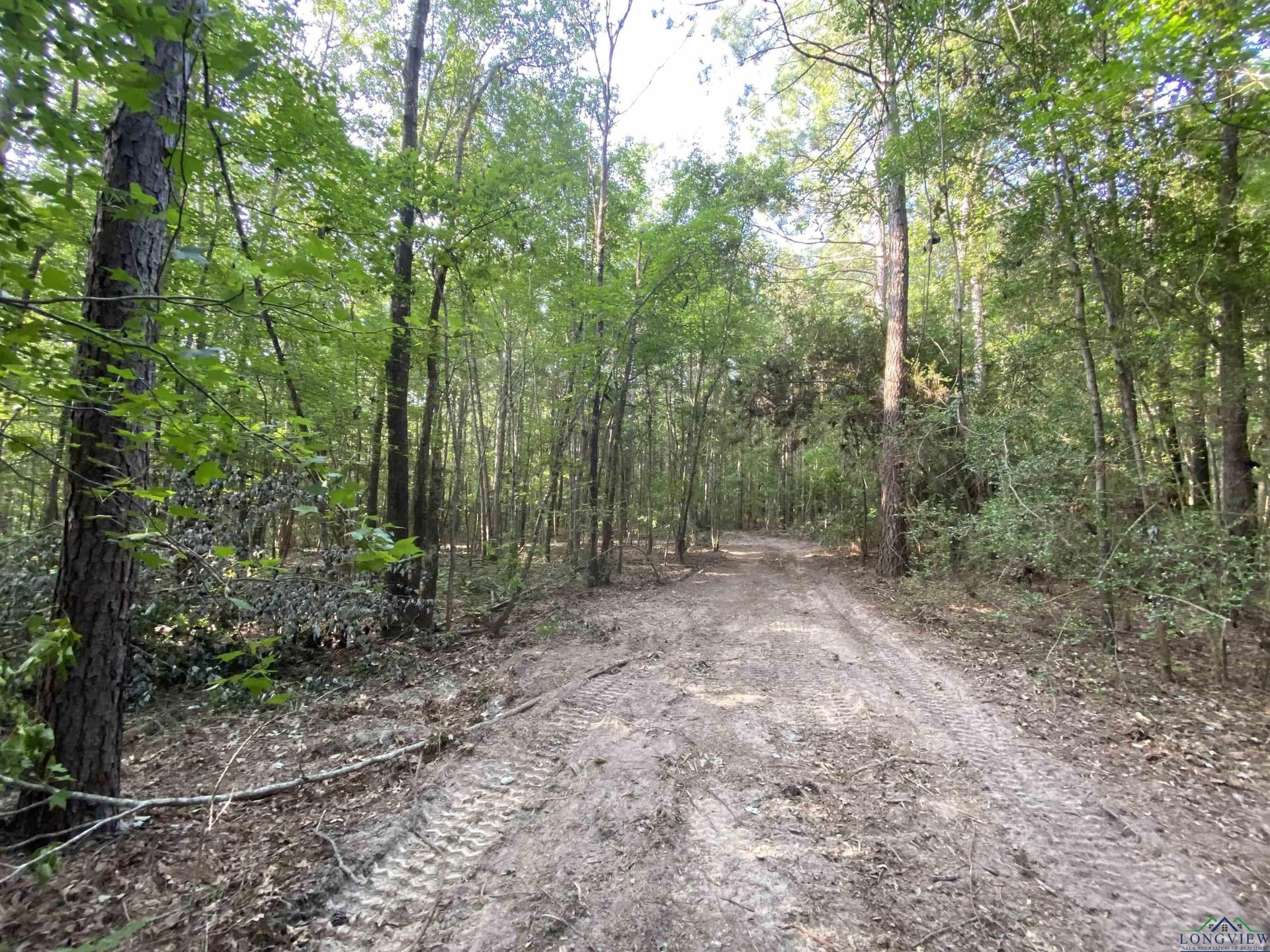 80 acres in Marion County - photo 12