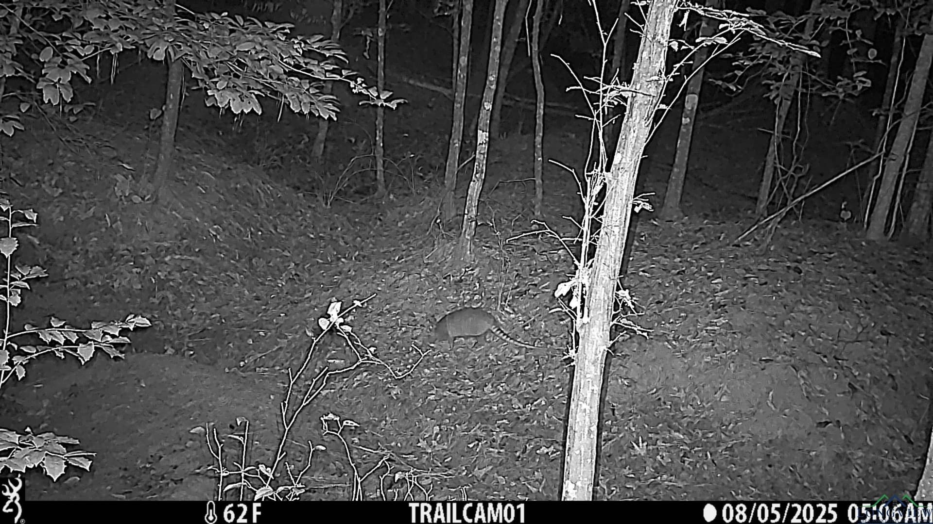 80 acres in Marion County - photo 37