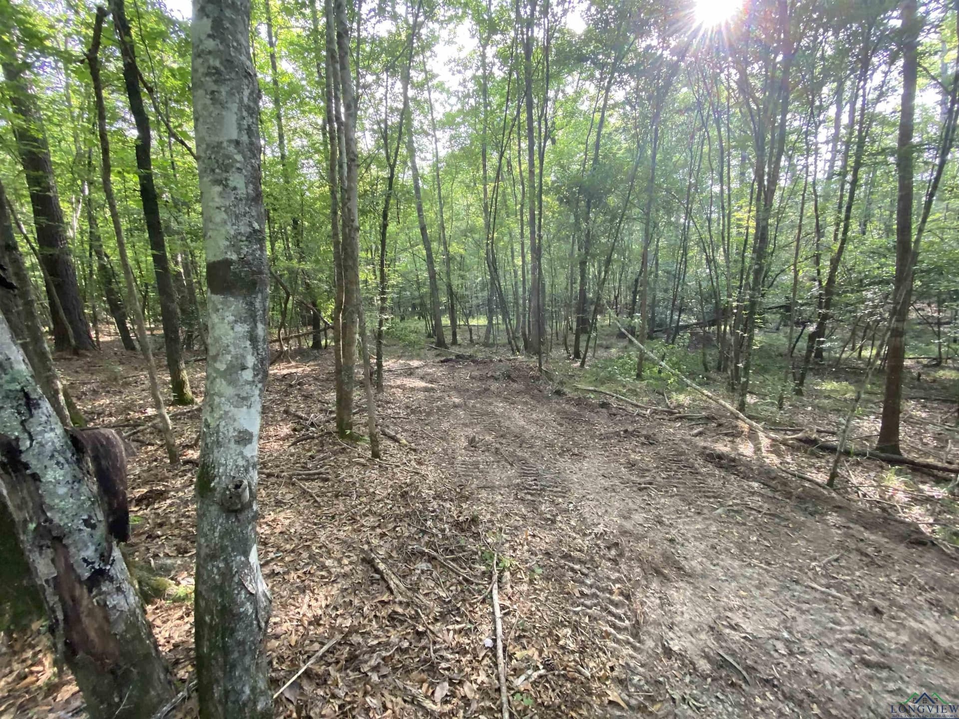80 acres in Marion County - photo 21