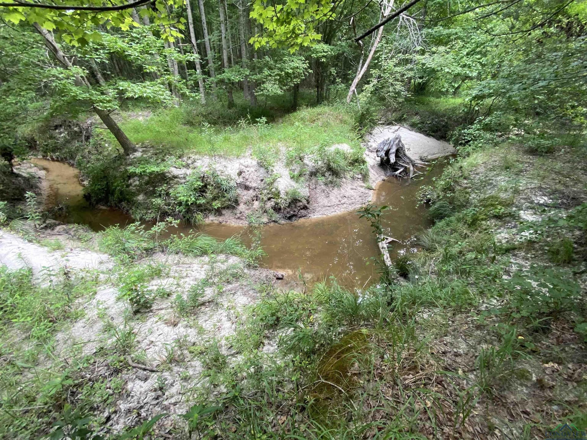 80 acres in Marion County - photo 31