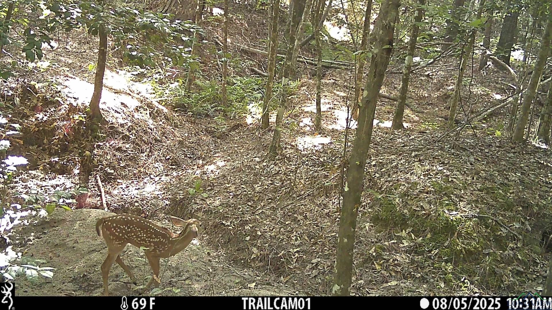 80 acres in Marion County - photo 39