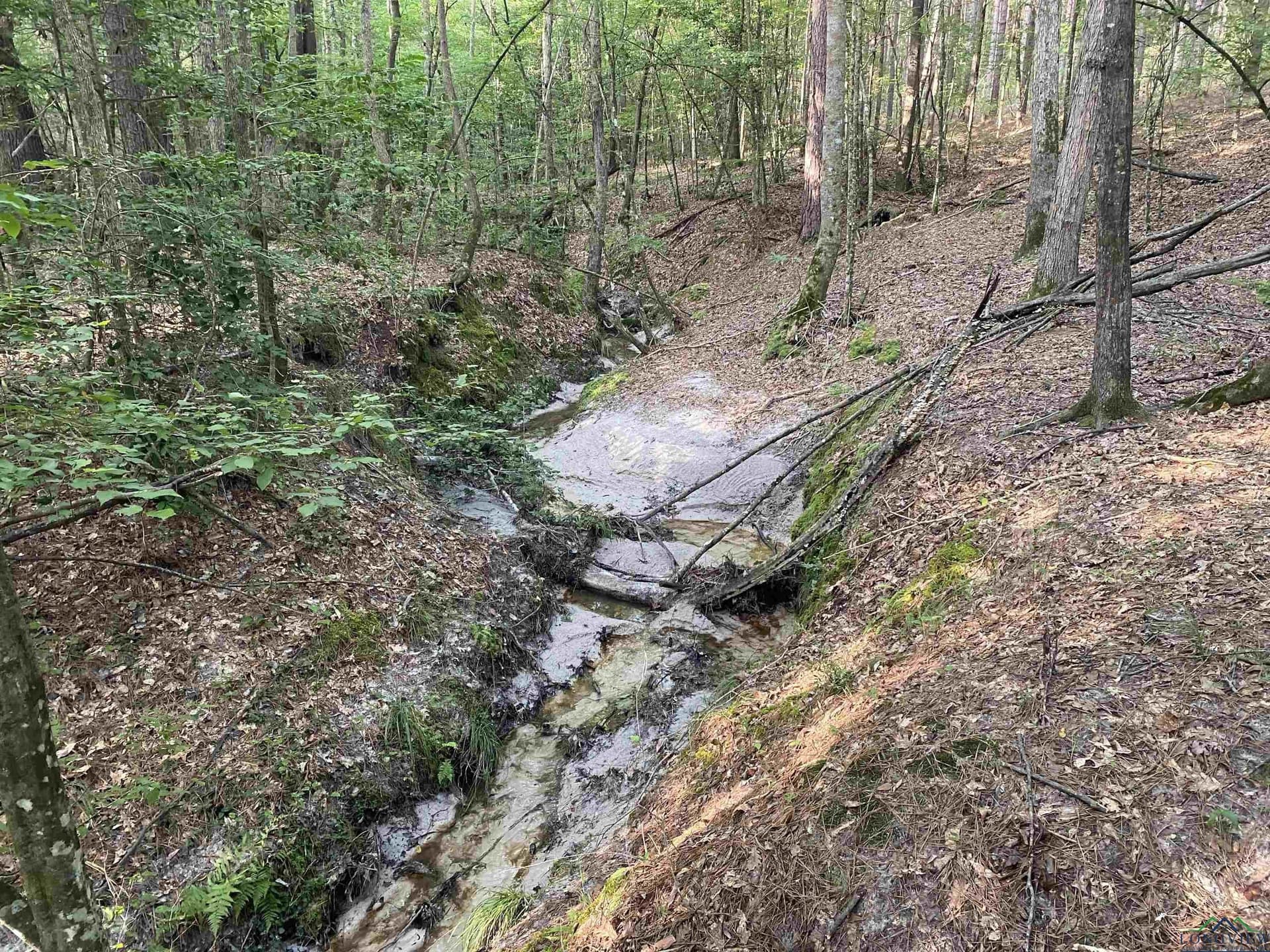 80 acres in Marion County - photo 16