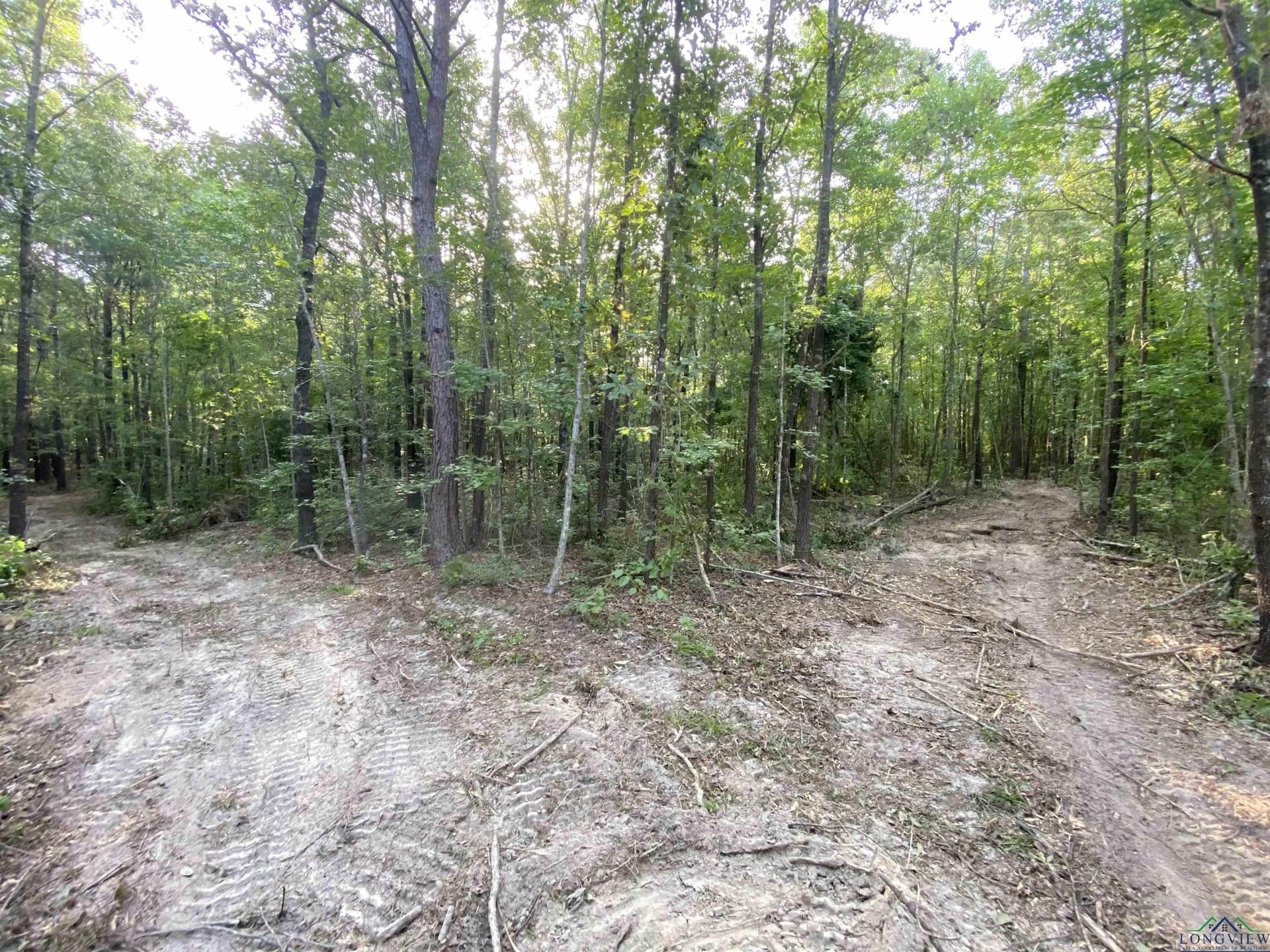 80 acres in Marion County - photo 10
