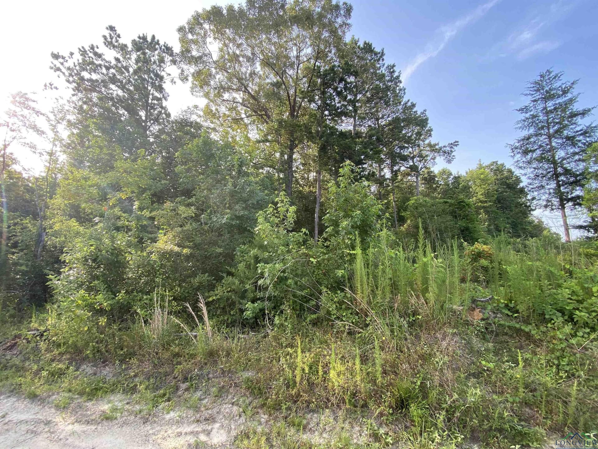 80 acres in Marion County - photo 7