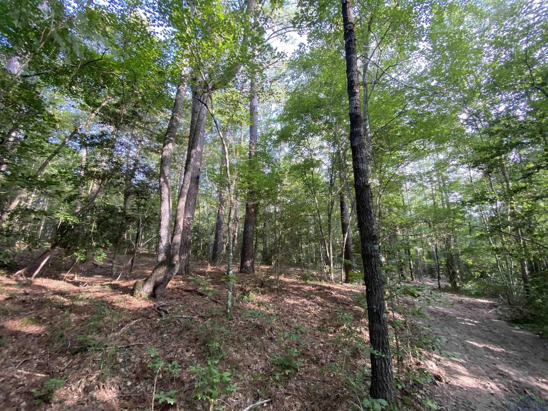 80 acres in Marion County - photo 19