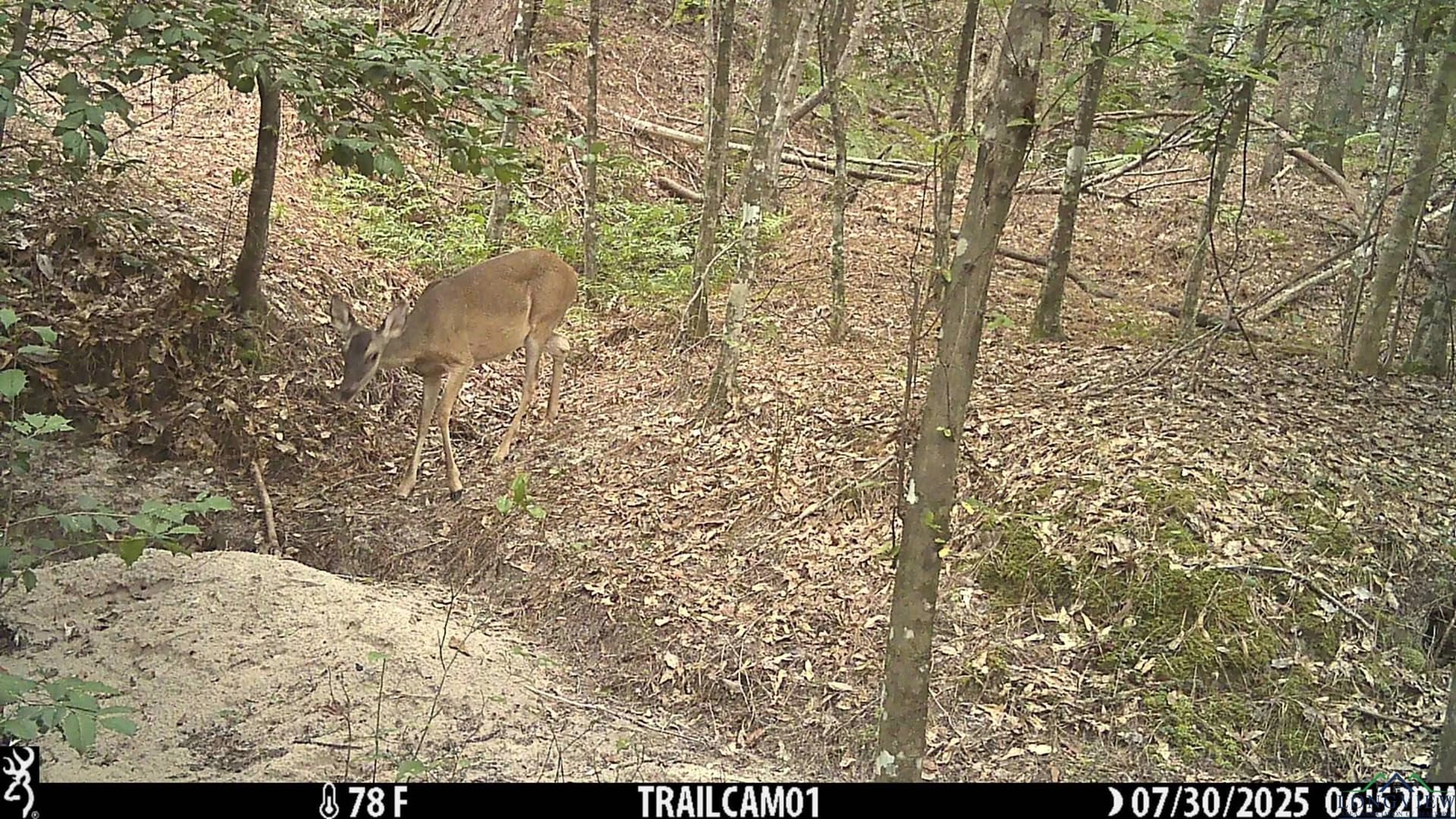 80 acres in Marion County - photo 32