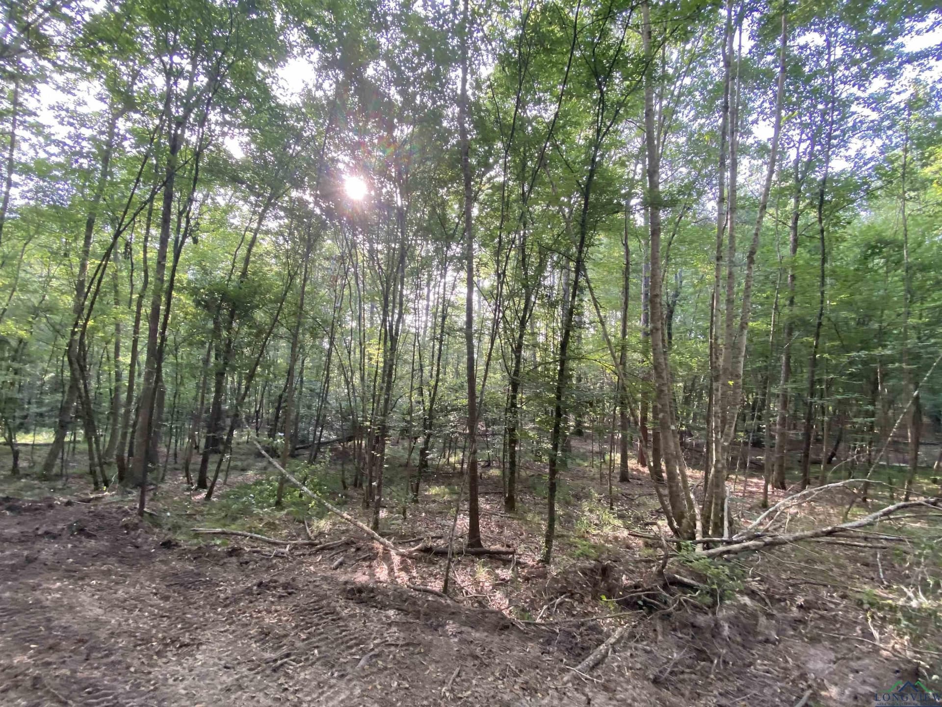80 acres in Marion County - photo 20