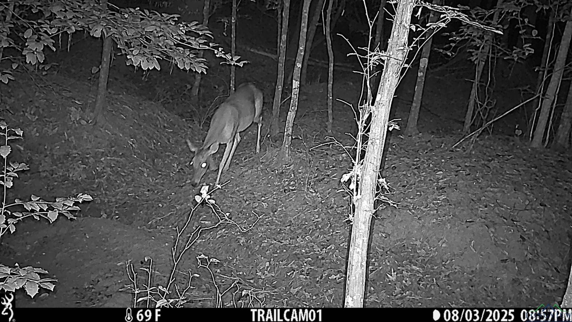 80 acres in Marion County - photo 35