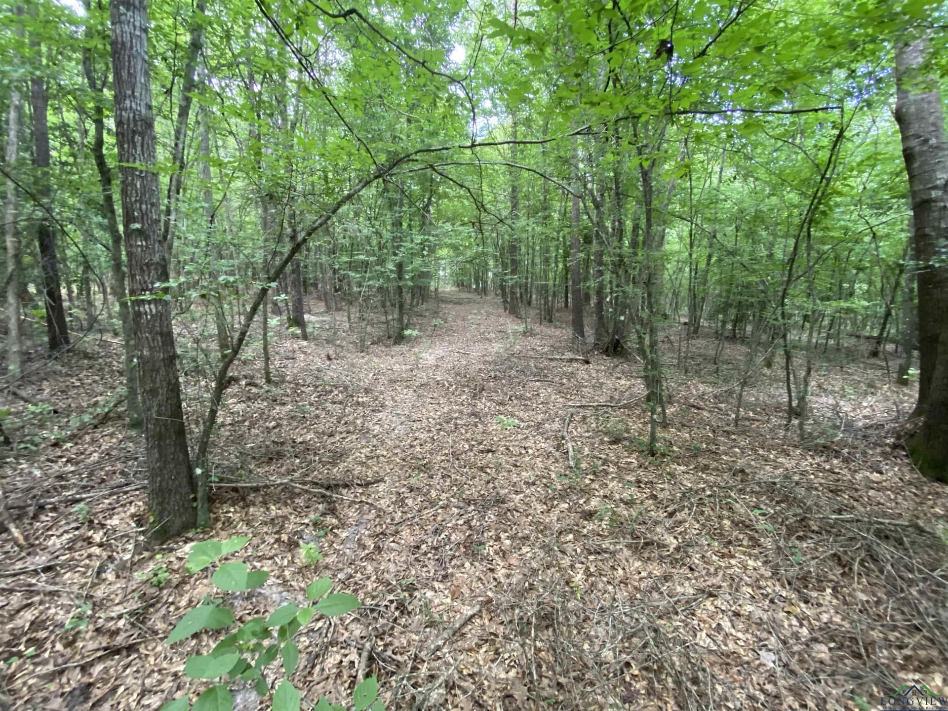 80 acres in Marion County - photo 30