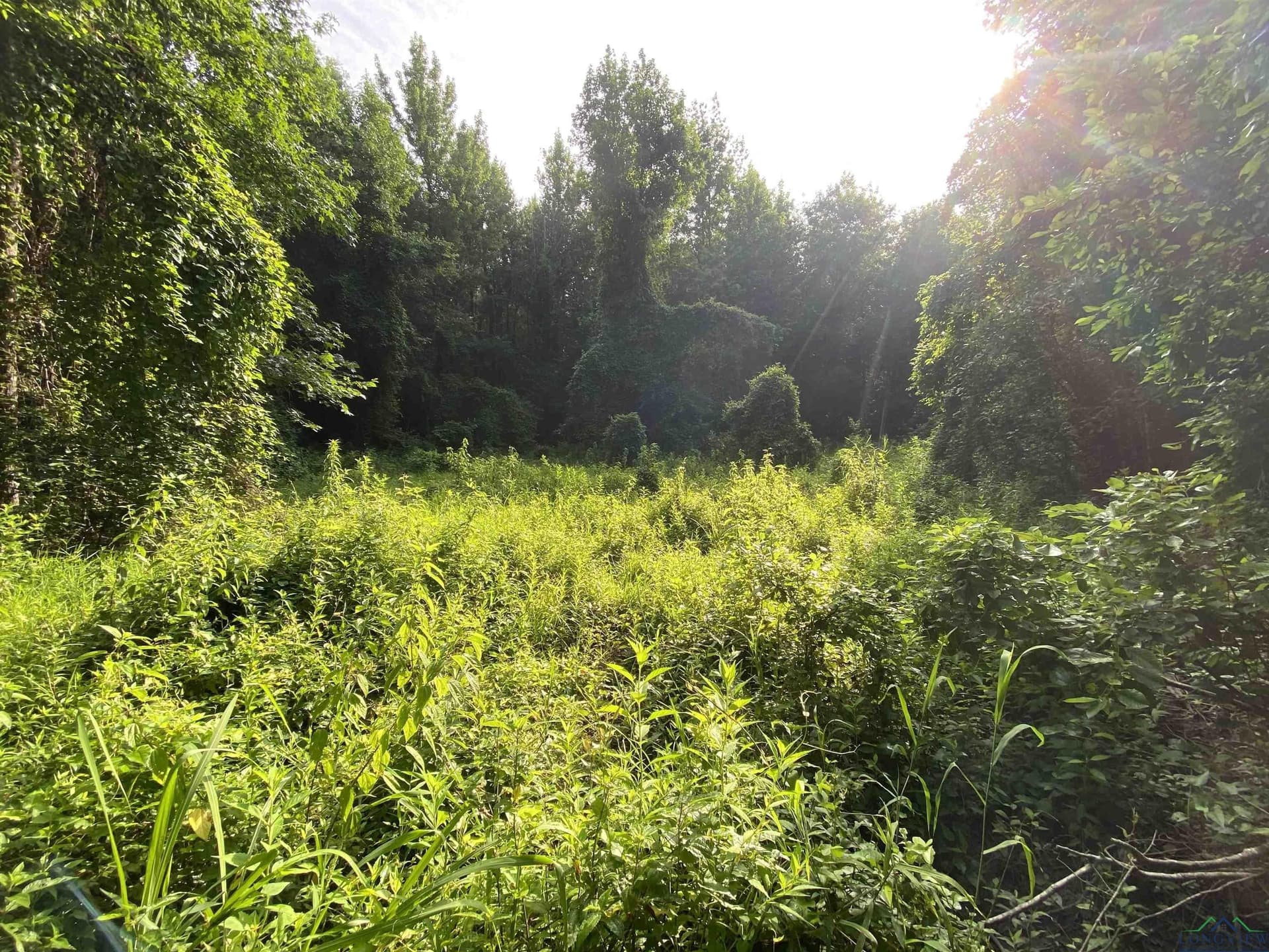 80 acres in Marion County - photo 24