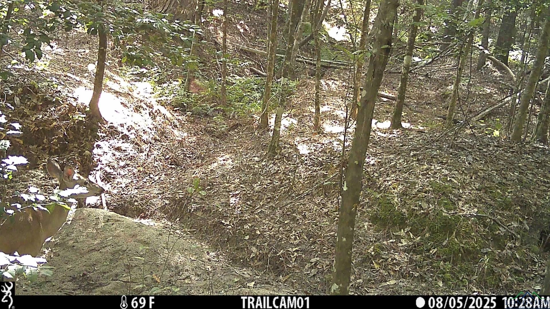 80 acres in Marion County - photo 38