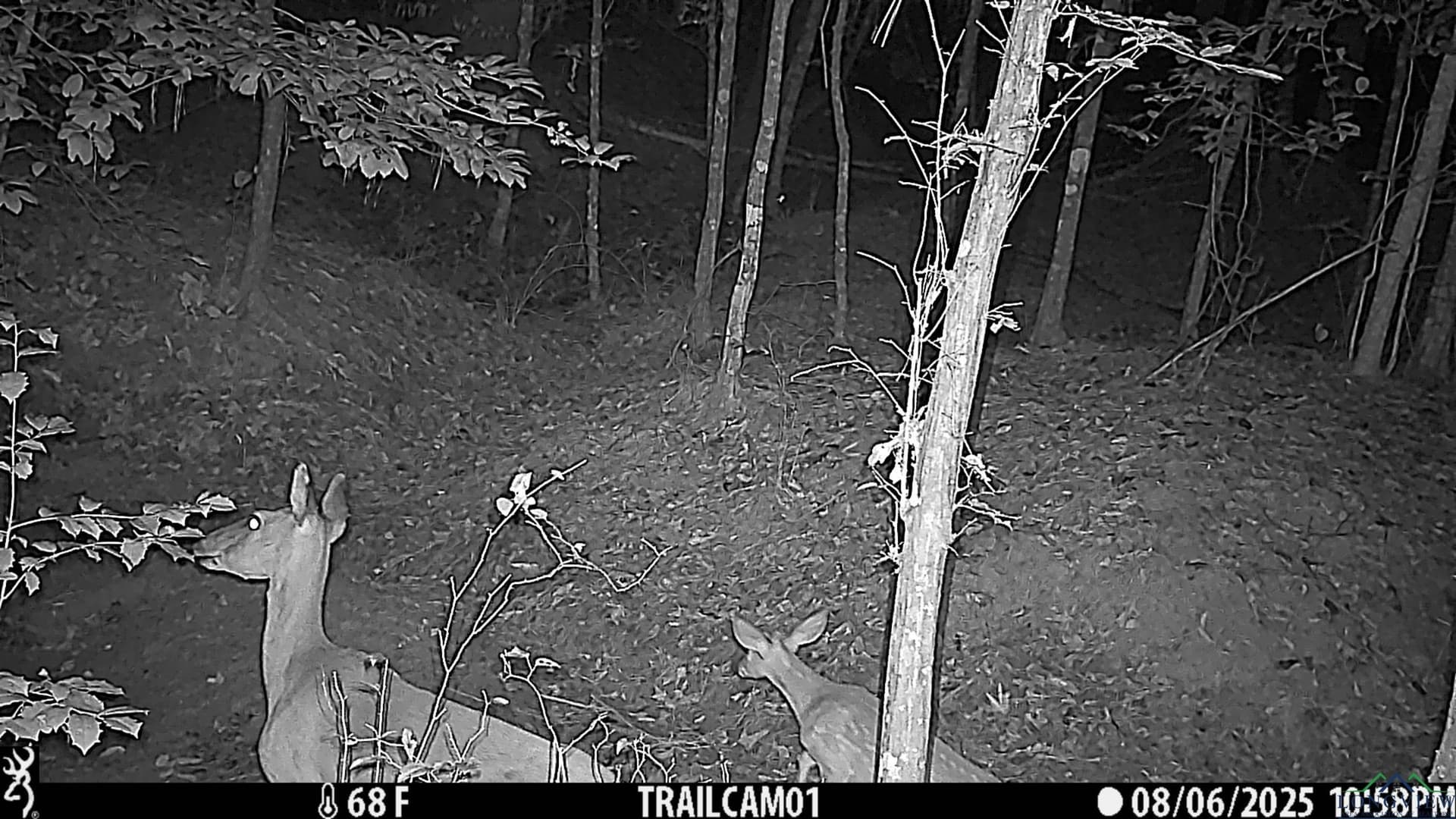 80 acres in Marion County - photo 40