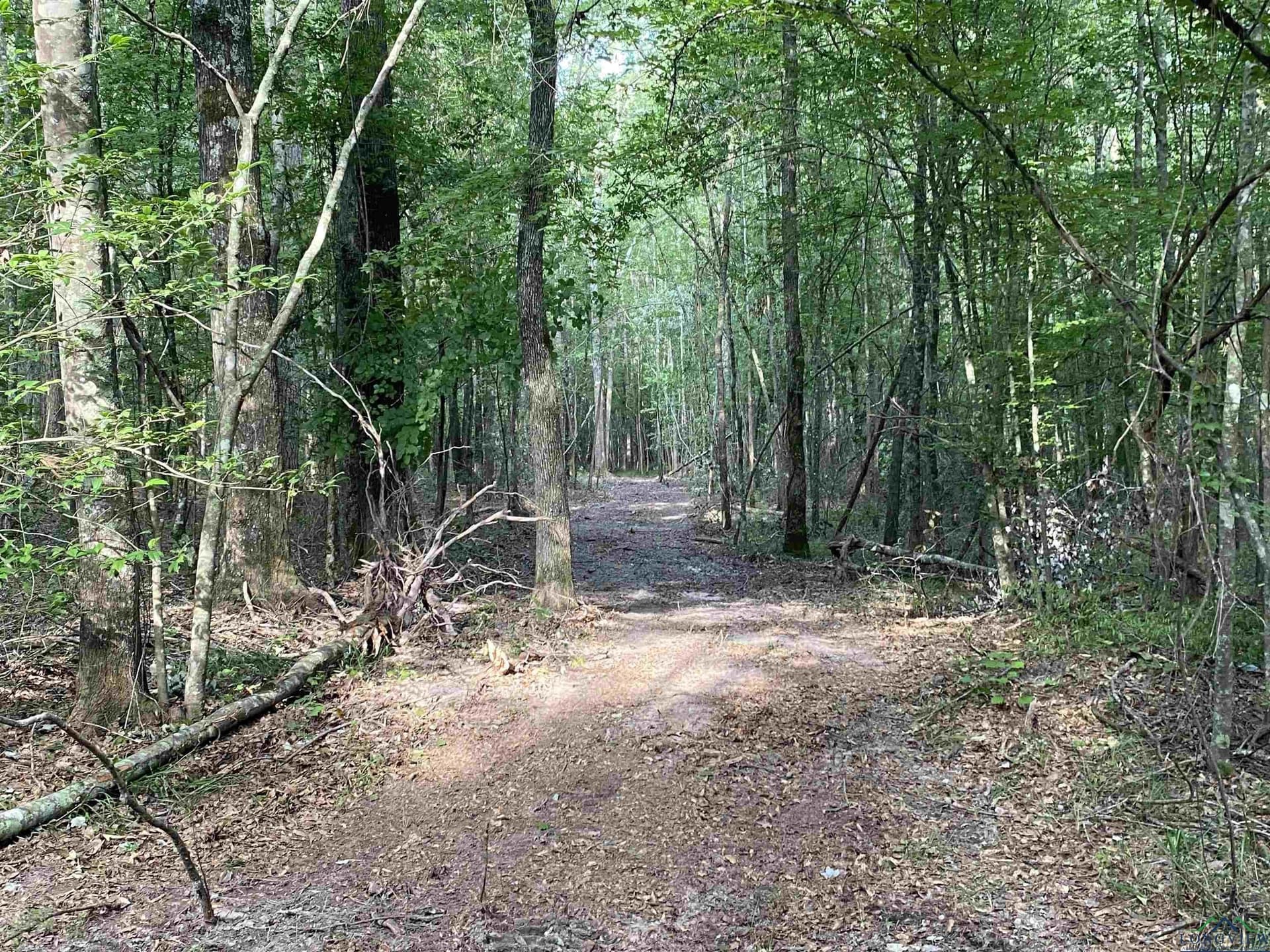 80 acres in Marion County - photo 22