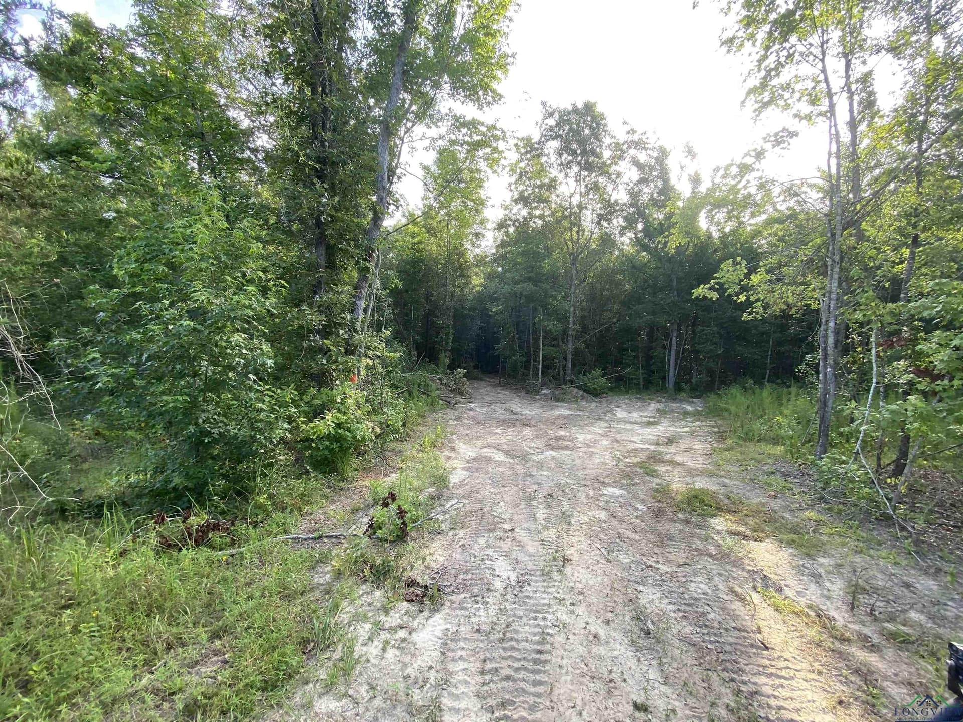 80 acres in Marion County - photo 6