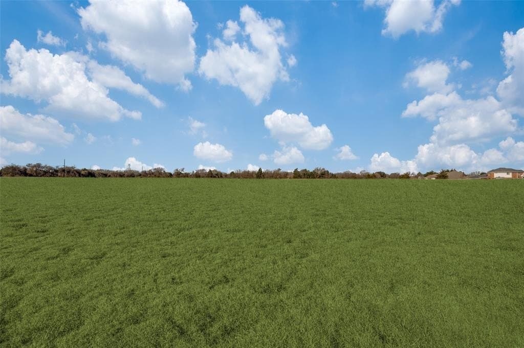 10 acres in Dallas County - photo 12