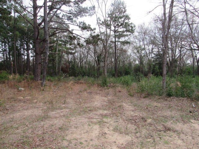 7.9 acres in ANDERSON County - photo 2
