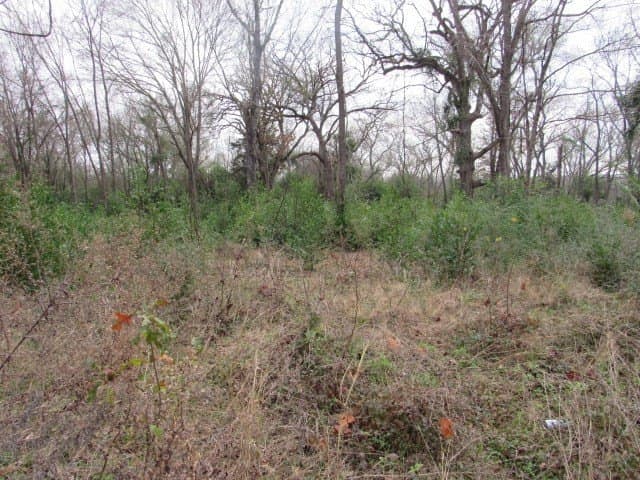 7.9 acres in ANDERSON County - photo 4