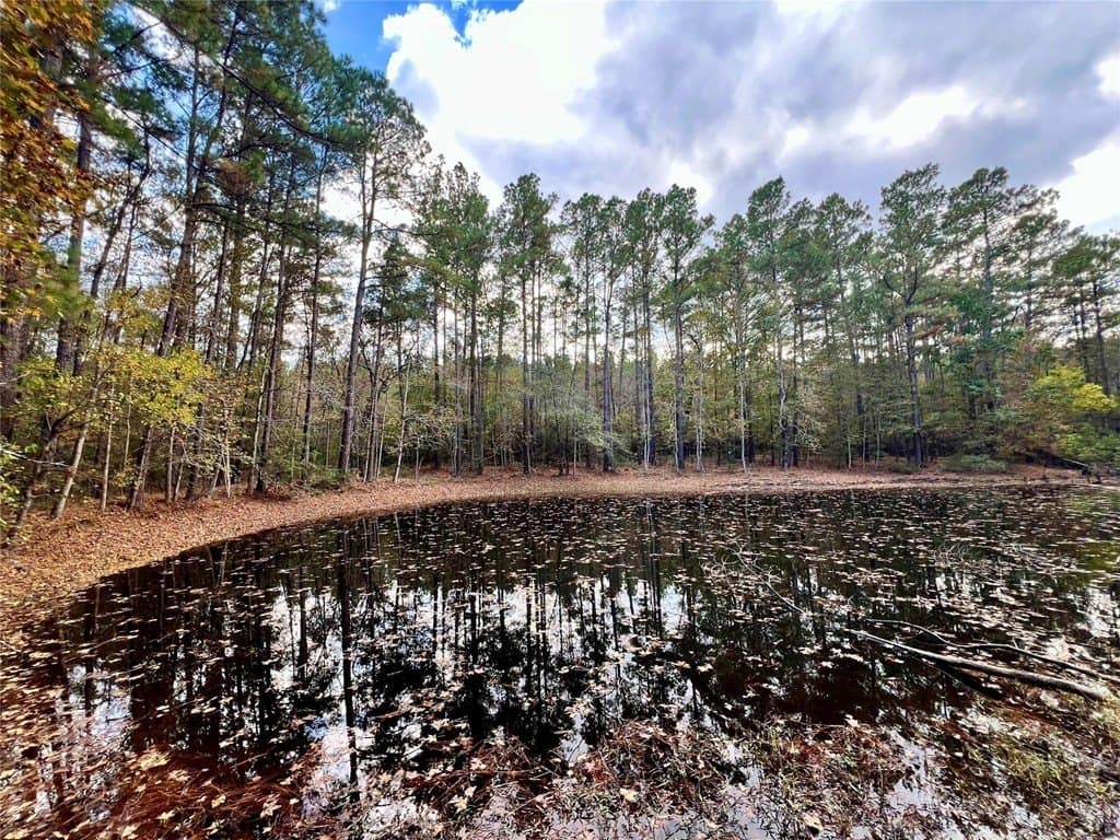 36.43 acres in HOUSTON County - photo 23