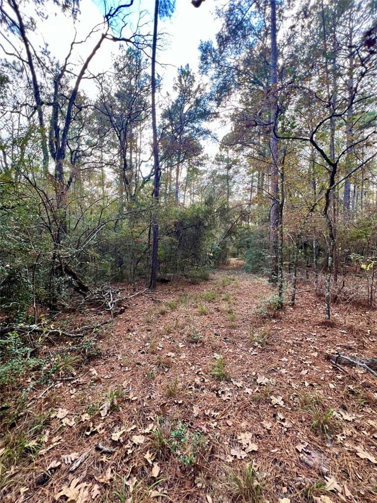36.43 acres in HOUSTON County - photo 22