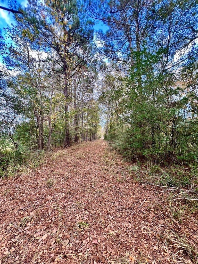36.43 acres in HOUSTON County - photo 25