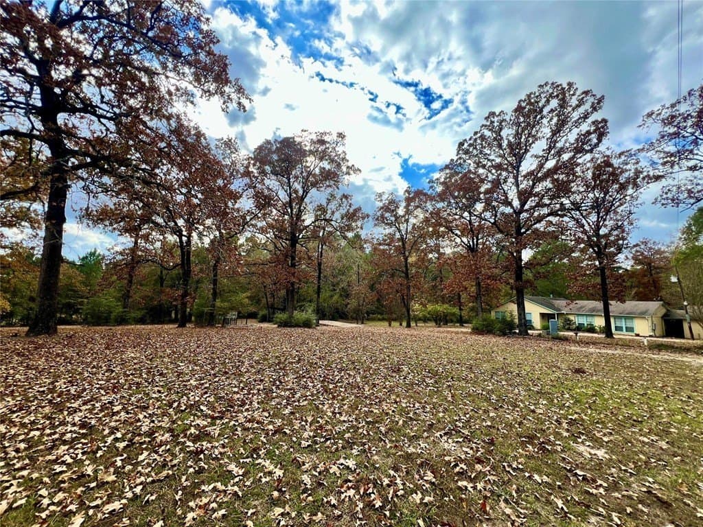 36.43 acres in HOUSTON County - photo 3