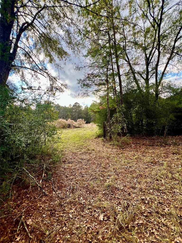 36.43 acres in HOUSTON County - photo 24