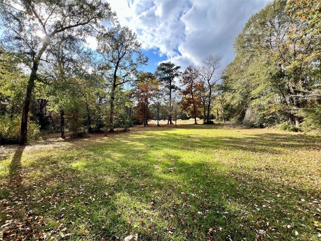 36.43 acres in HOUSTON County - photo 18