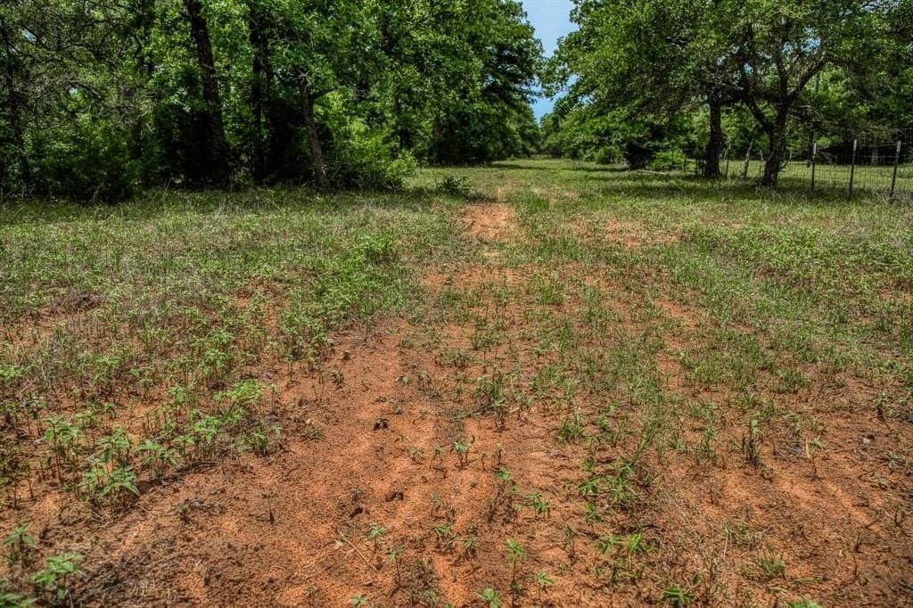 24.93 acres in Lavaca County - photo 23