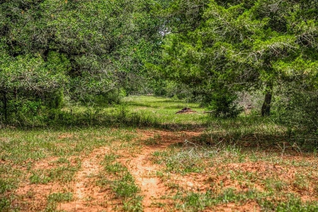 24.93 acres in Lavaca County - photo 11