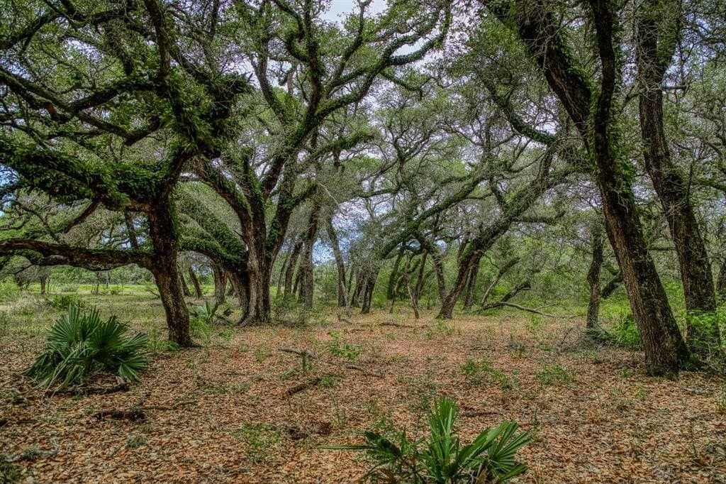 24.93 acres in Lavaca County - photo 20