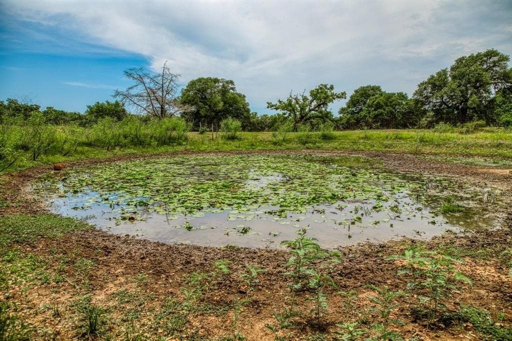 24.93 acres in Lavaca County - photo 9
