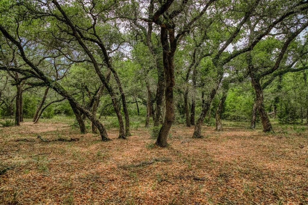 24.93 acres in Lavaca County - photo 12