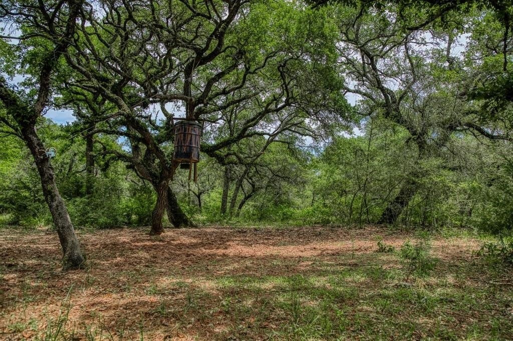 24.93 acres in Lavaca County - photo 22