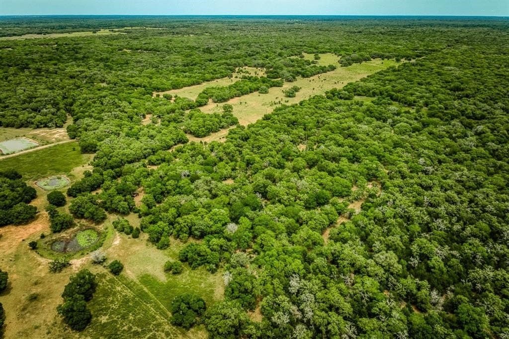 24.93 acres in Lavaca County - photo 18