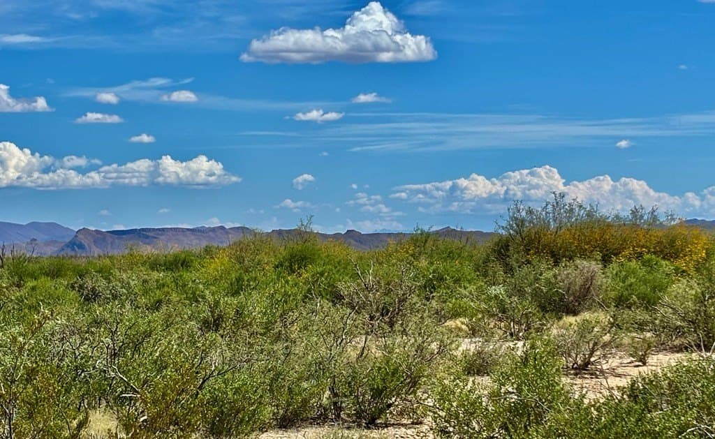 20 acres in Brewster County - photo 2