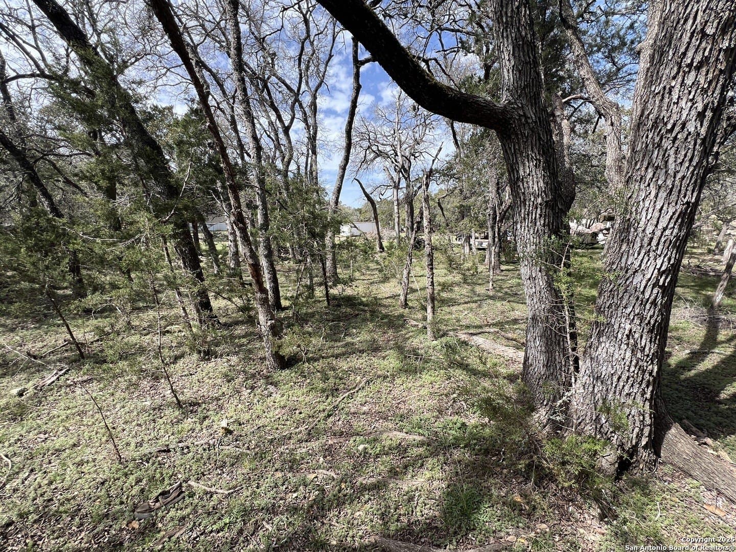 1.04 acres in Comal County - photo 8