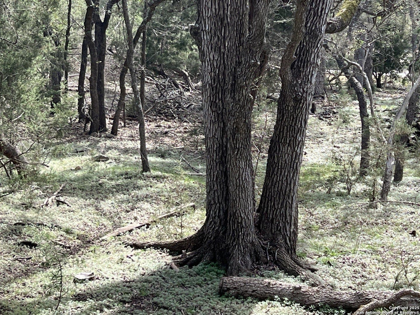 1.04 acres in Comal County - photo 5