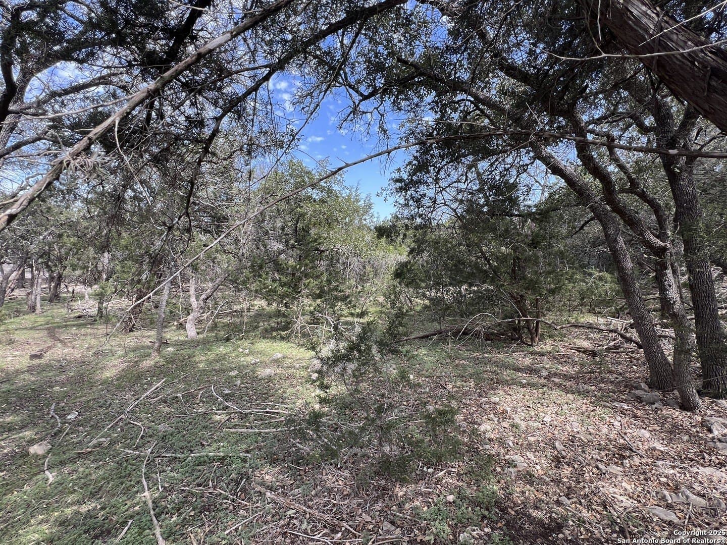 1.04 acres in Comal County - photo 3