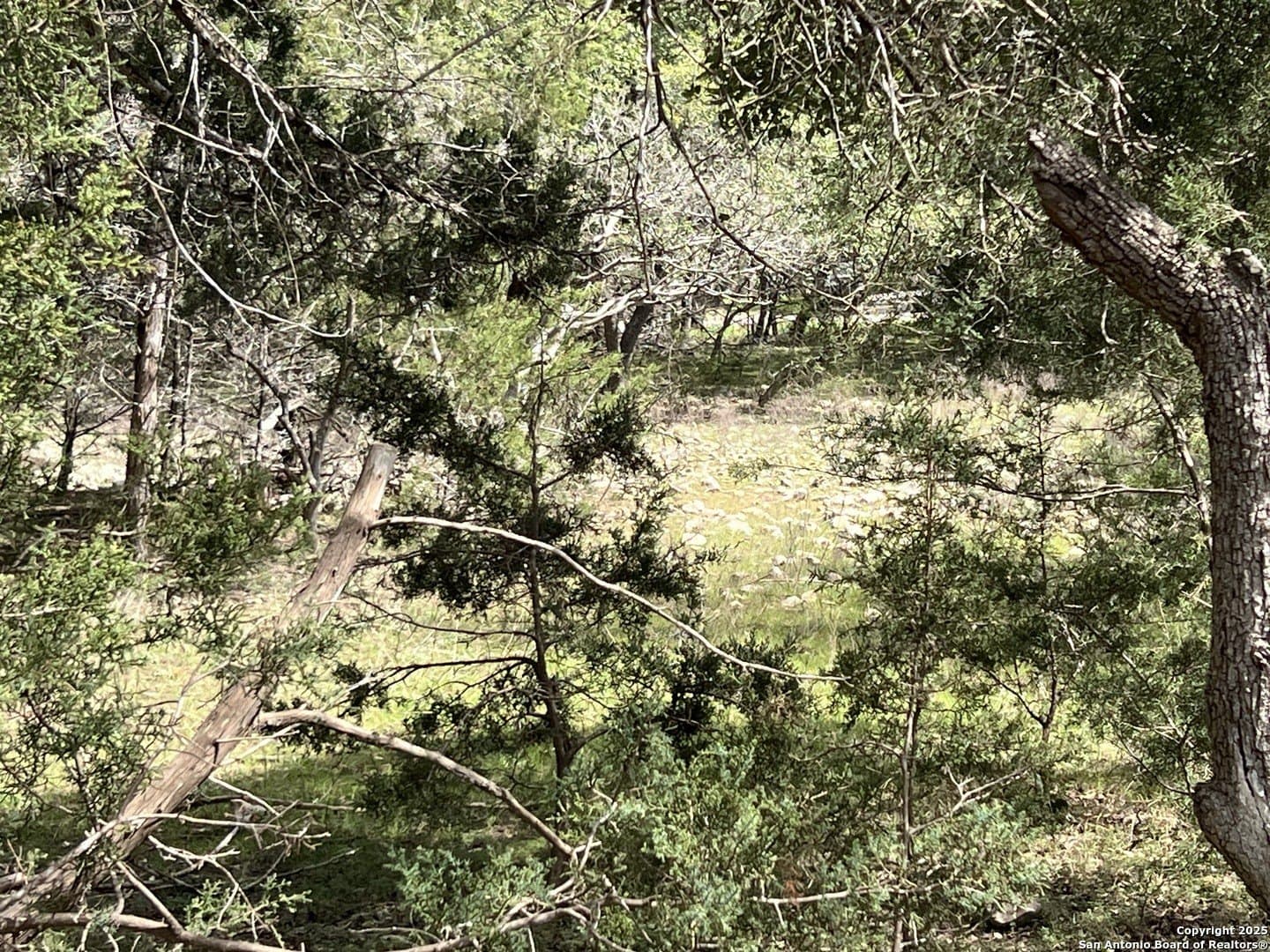 1.04 acres in Comal County - photo 4
