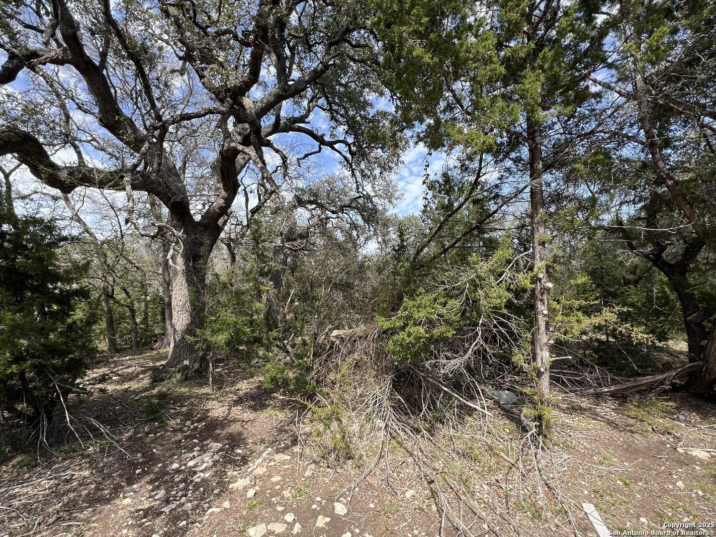 1.04 acres in Comal County - photo 2