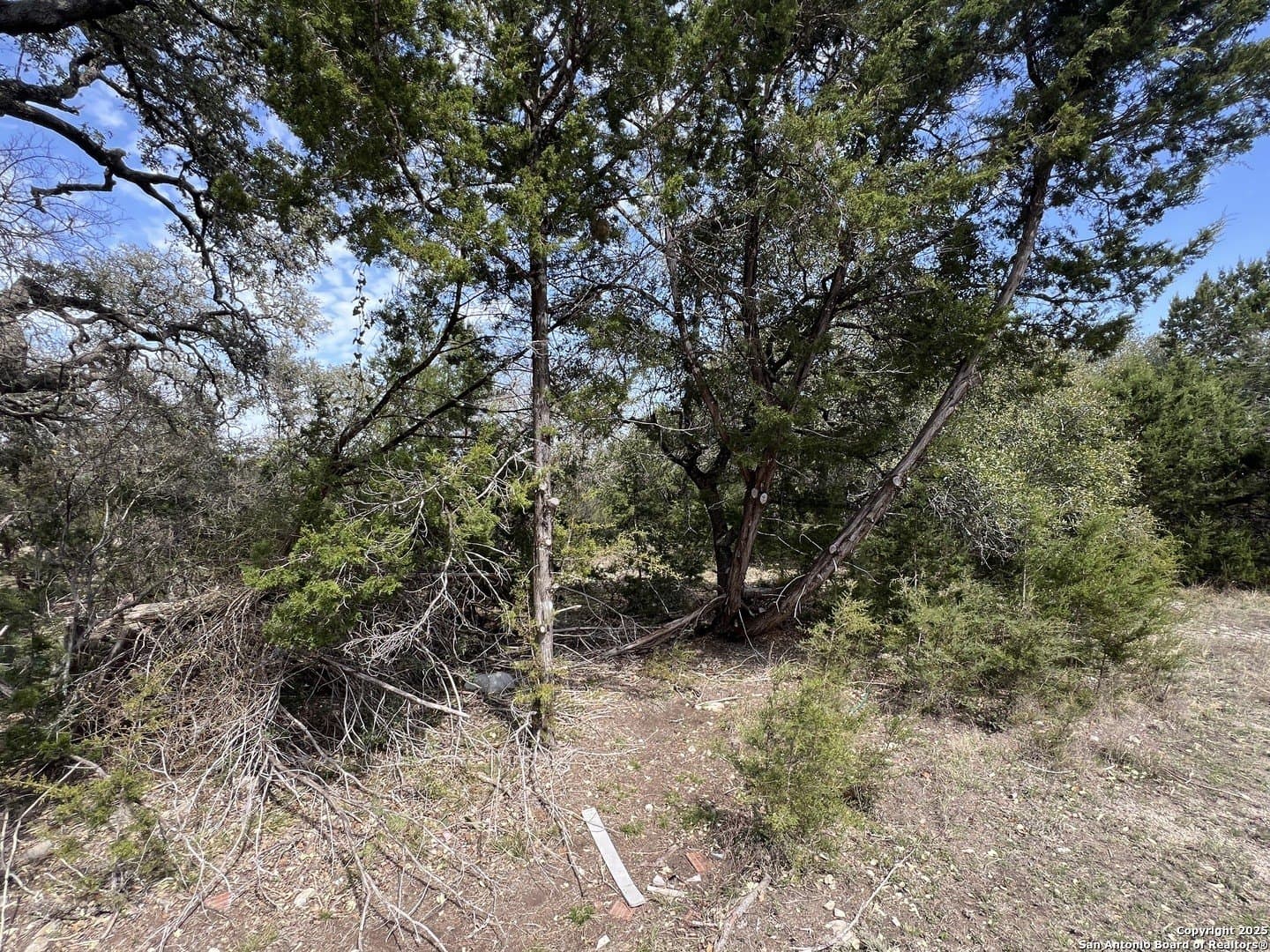 1.04 acres in Comal County - photo 9