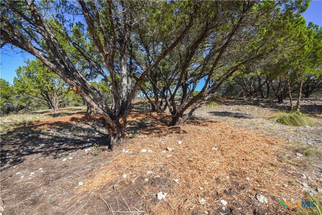 0.22 acres in Travis County - photo 3