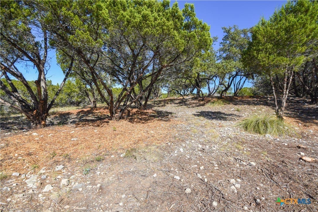 0.22 acres in Travis County - photo 2