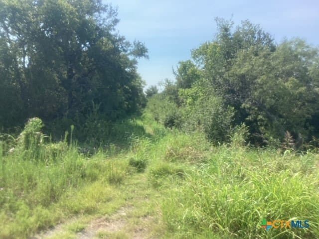 8.52 acres in Falls County - photo 3