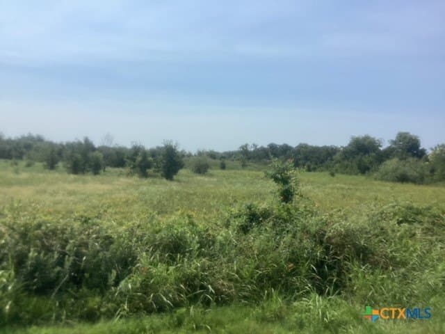 8.52 acres in Falls County - photo 4