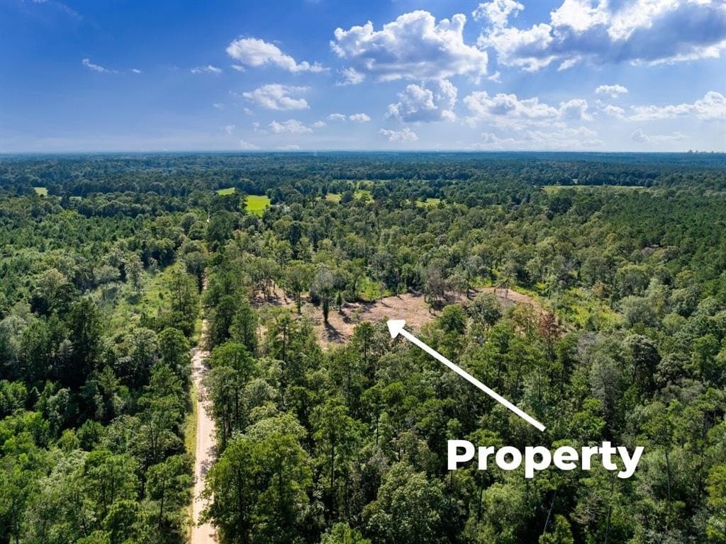 15.83 acres in Polk County - photo 18