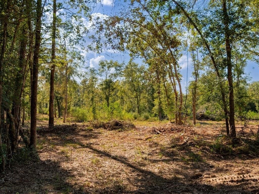 15.83 acres in Polk County - photo 13