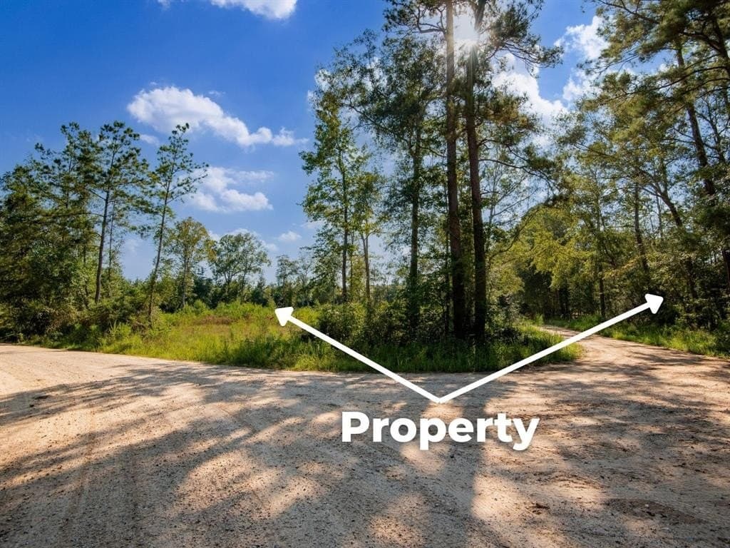 15.83 acres in Polk County - photo 11