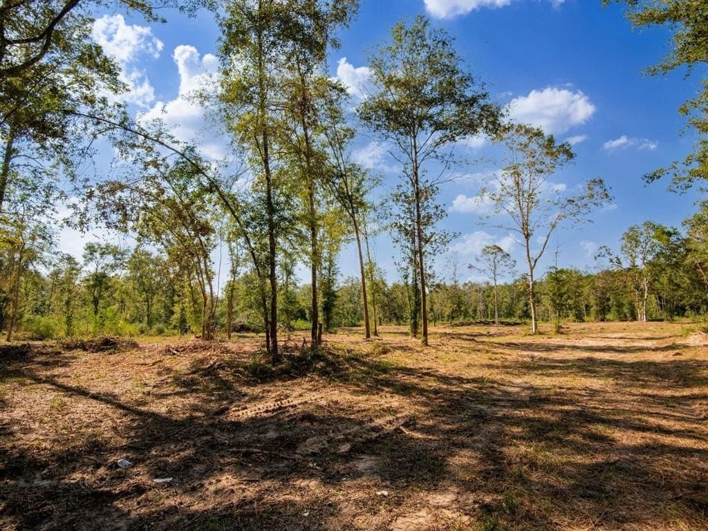 15.83 acres in Polk County - photo 3